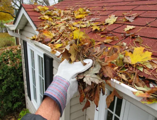 Gutter Cleaning