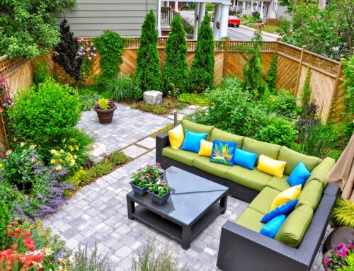 Outdoor Kitchen and Living Space