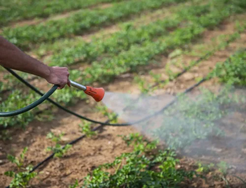 Pre Emergent Herbicide Application