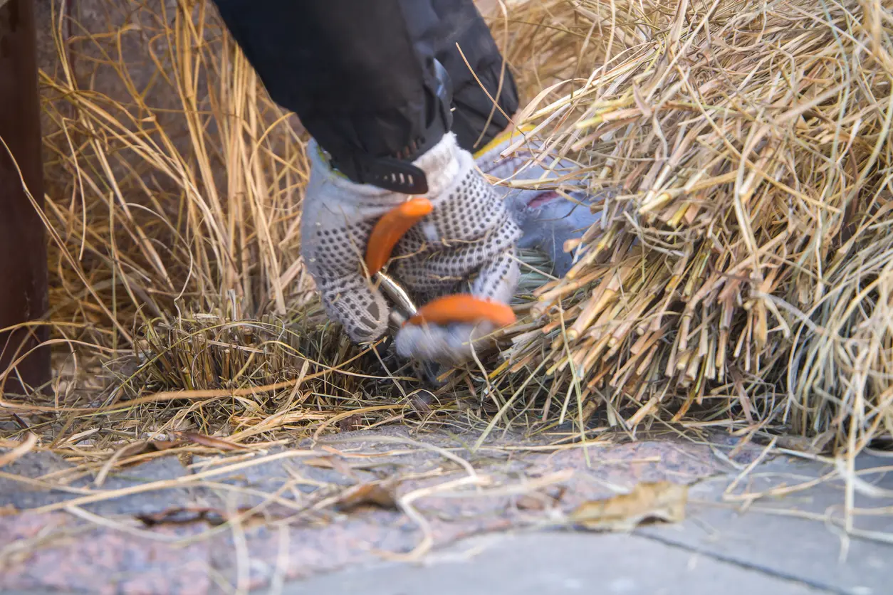 Clear dry vegetation to avoid fire in Prescott valley